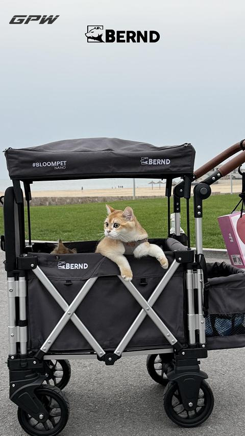 Breathable Small Animal Stroller for Outdoor Walks