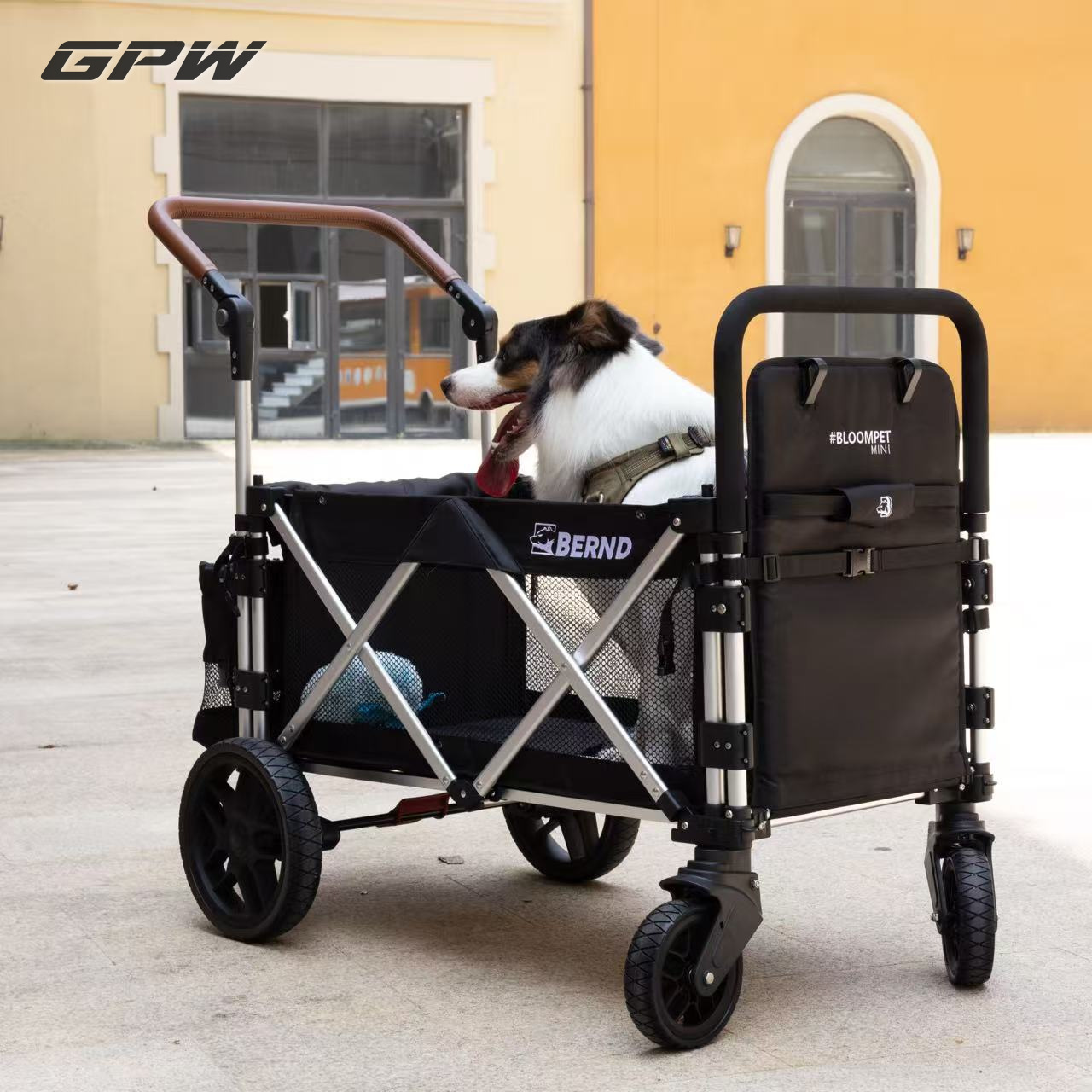Compact Small Pet Stroller for Airline Travel