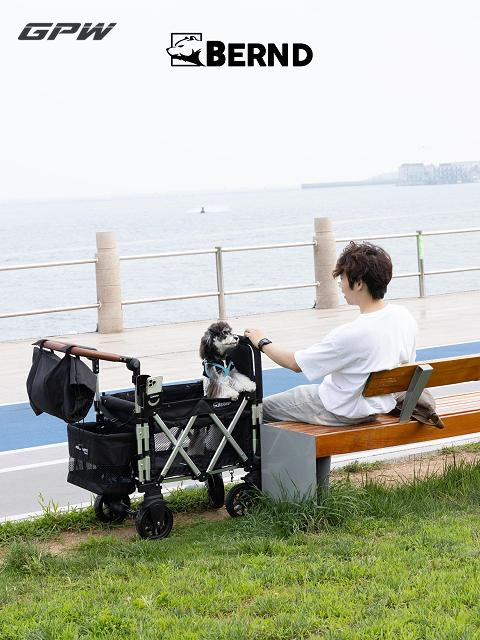 Compact Small Pet Stroller for Airline Travel