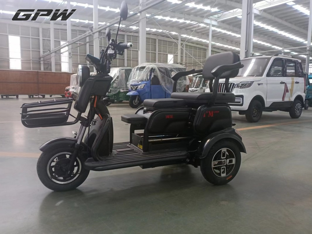 Flexible Leisure Electric Tricycle For Adults Motorized 500w
